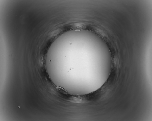 X0000085310423200703091058