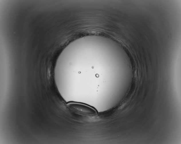 X0000085310424200703091058