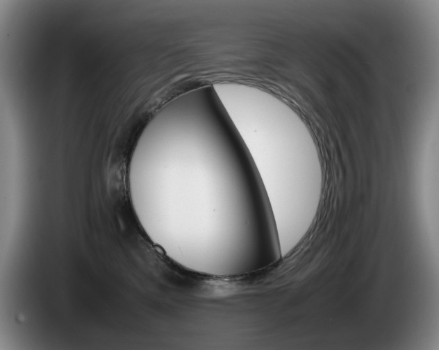 X0000085310425200703091058