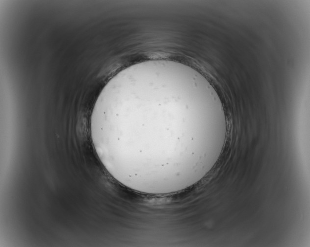 X0000085310426200703091058