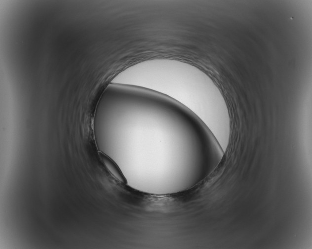 X0000085310429200703091058
