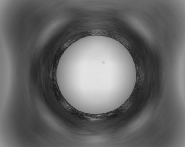 X0000085310430200703091058