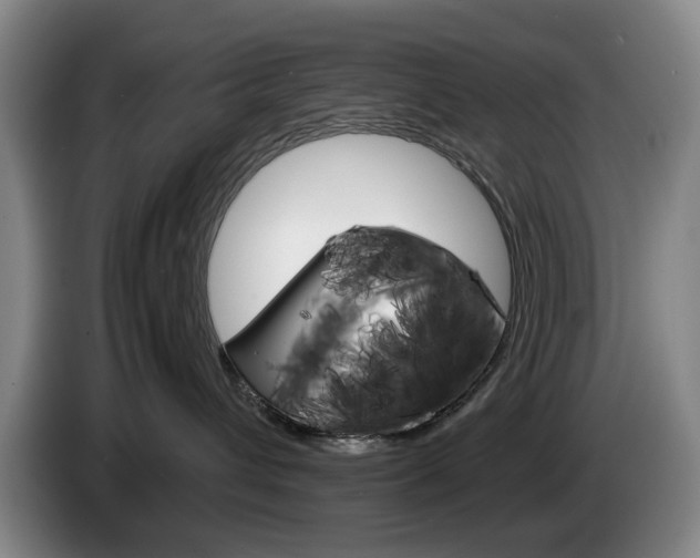 X0000085310432200703091058