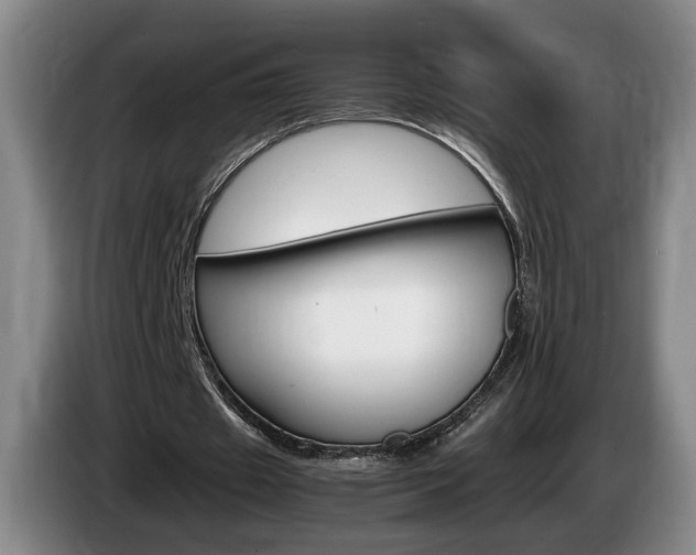 X0000085310433200703091057