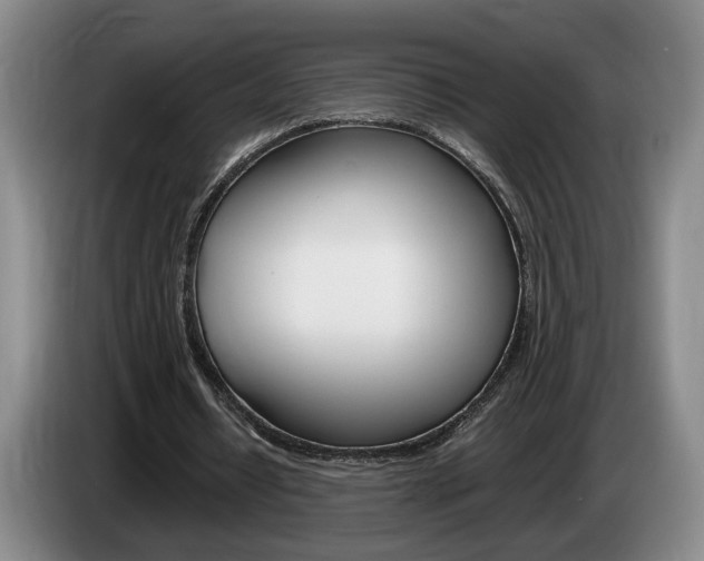 X0000085310434200703091057