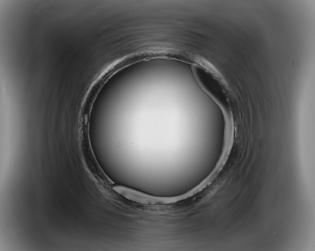 X0000085310436200703091057