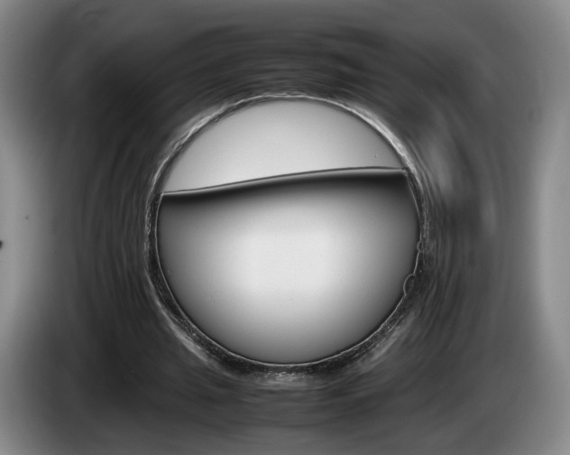 X0000085310437200703091057
