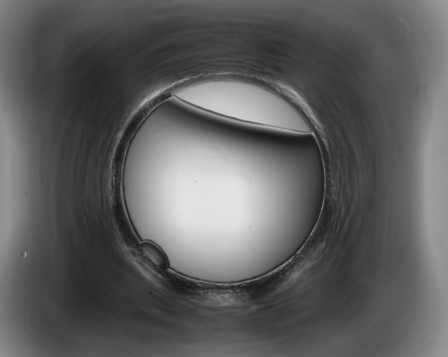 X0000085310439200703091057