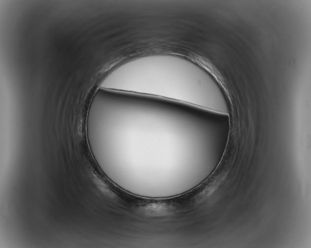 X0000085310441200703091057