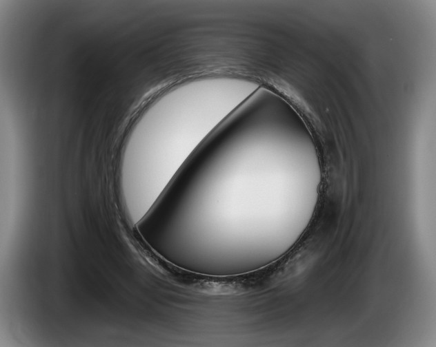 X0000085310442200703091057