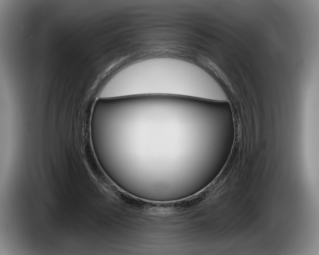 X0000085310444200703091057