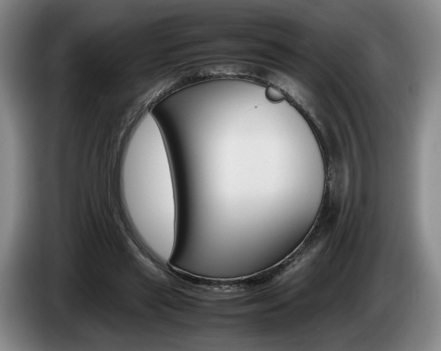 X0000085310445200703091057