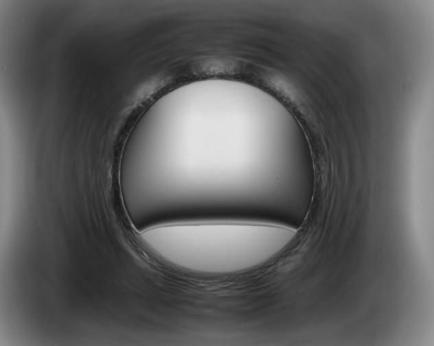 X0000085310447200703091057