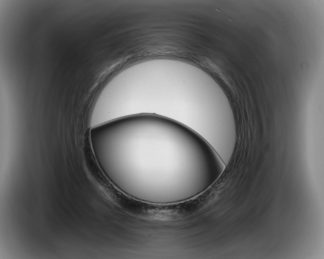 X0000085310448200703091057