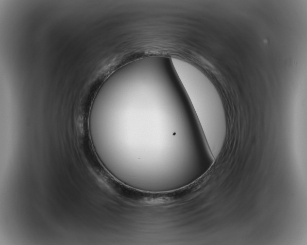 X0000085310452200703091057