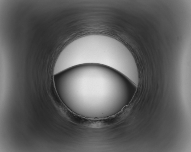 X0000085310456200703091057