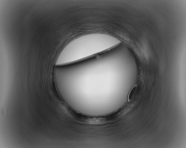 X0000085310461200703091058