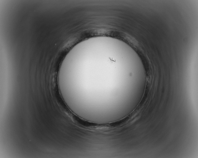 X0000085310462200703091058