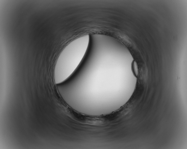 X0000085310463200703091058