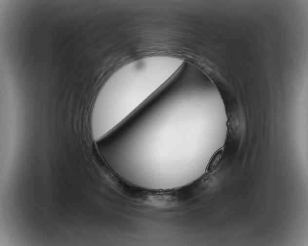 X0000085310470200703091058