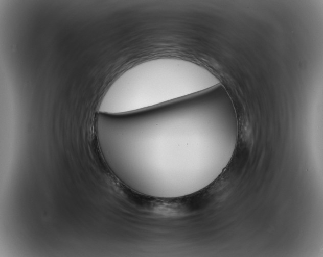 X0000085310471200703091058