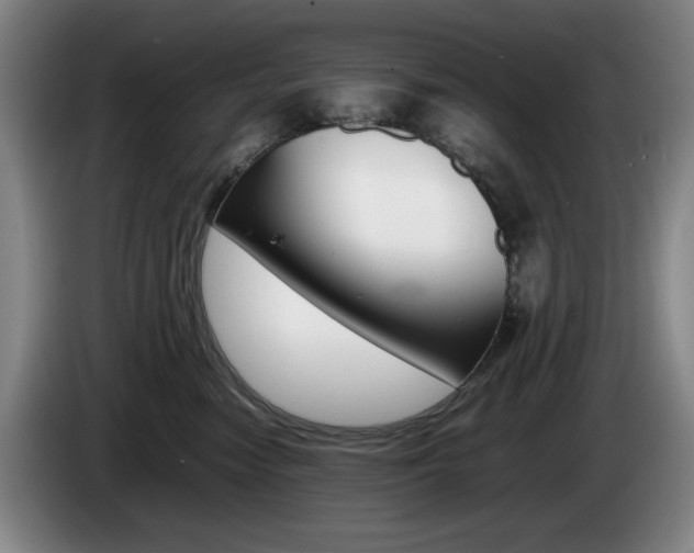 X0000085310474200703091058