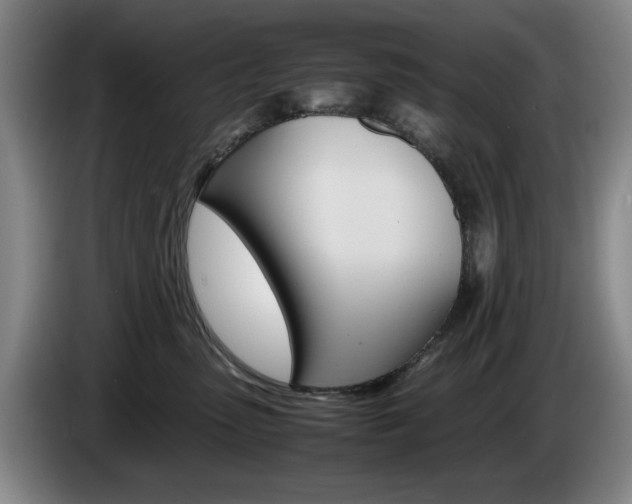 X0000085310475200703091058