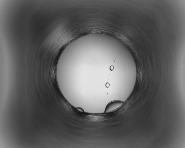 X0000085310477200703091058