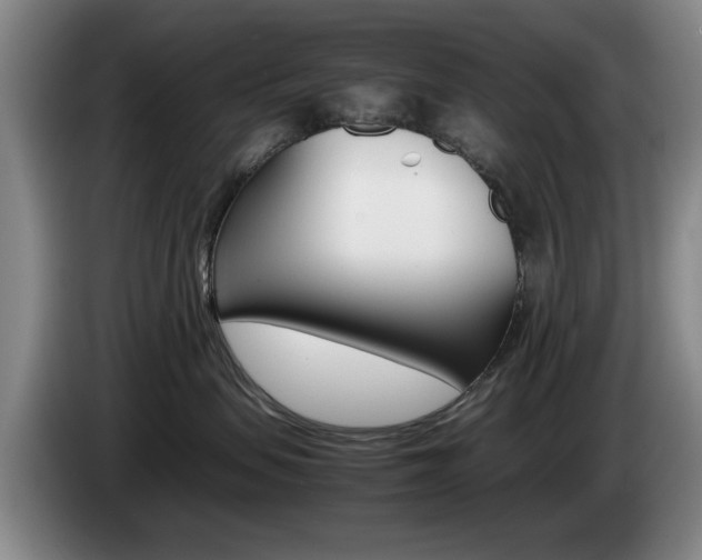 X0000085310479200703091058
