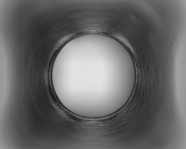 X0000085310482200703091057