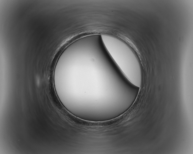 X0000085310483200703091057