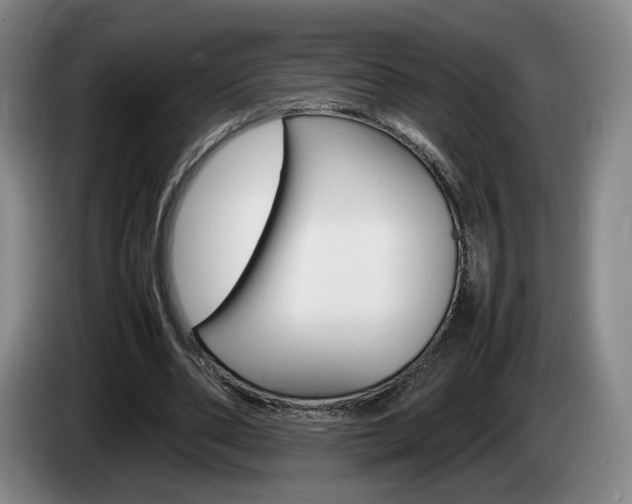 X0000085310486200703091057