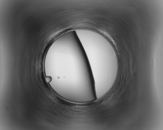 X0000085310487200703091057