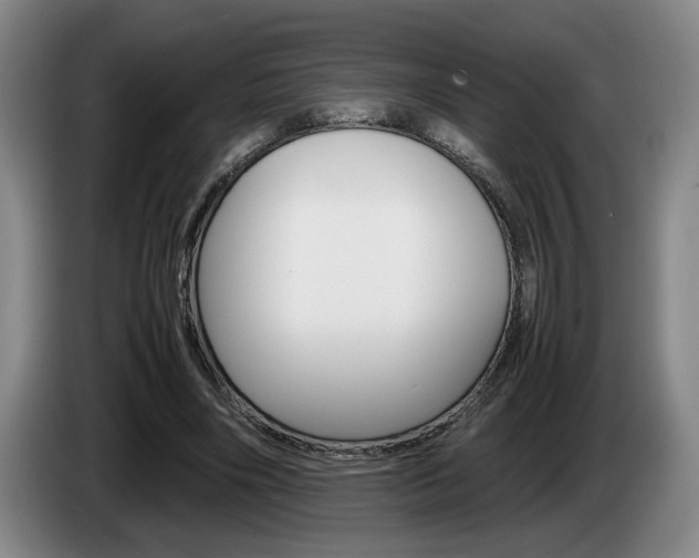 X0000085310490200703091057