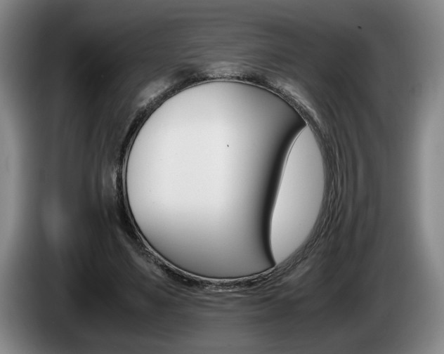 X0000085310491200703091057