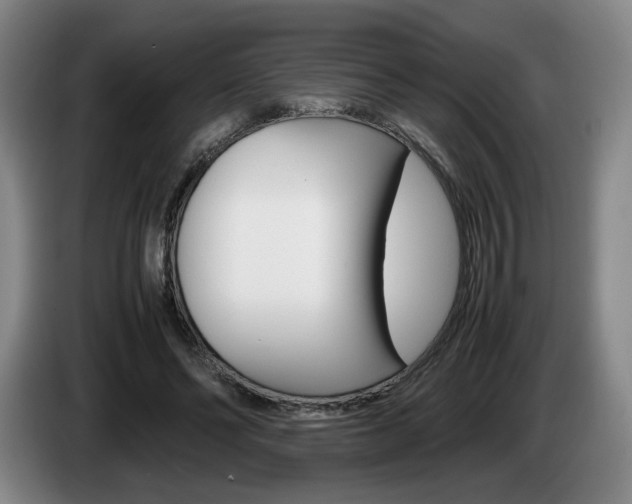 X0000085310494200703091057