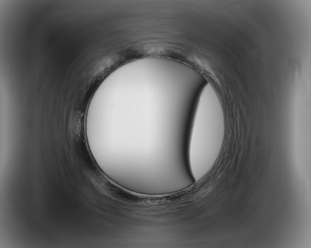 X0000085310495200703091057