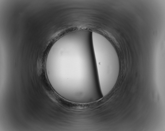 X0000085310496200703091057