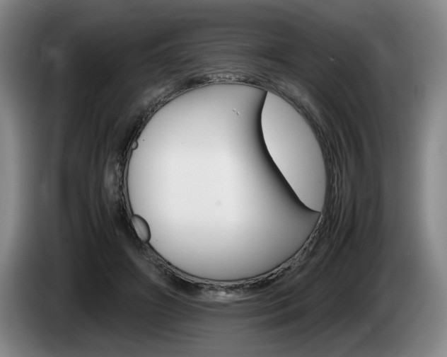 X0000085310498200703091057