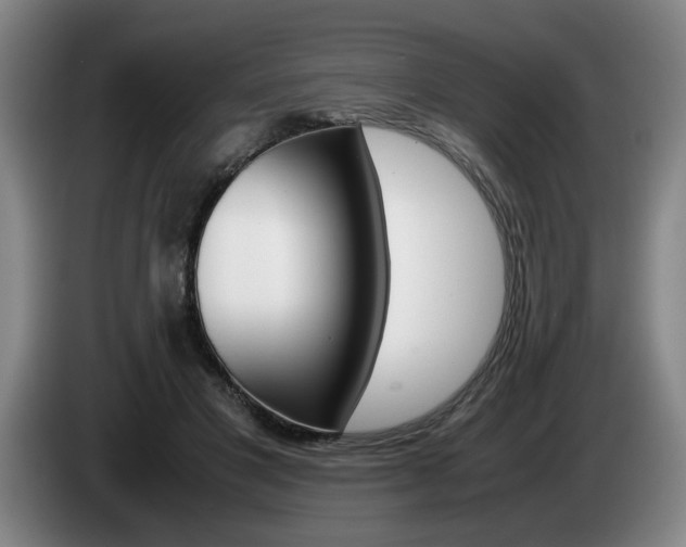 X0000085310501200703091057