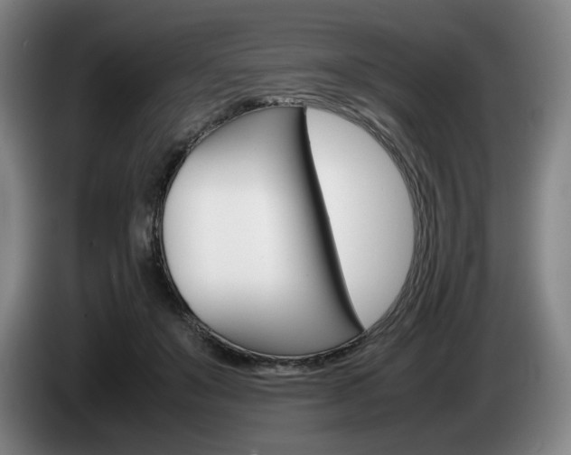 X0000085310503200703091057