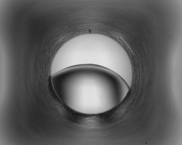X0000085310505200703091057