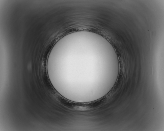 X0000085310506200703091057