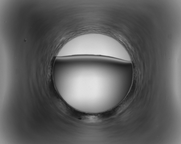 X0000085310509200703091057