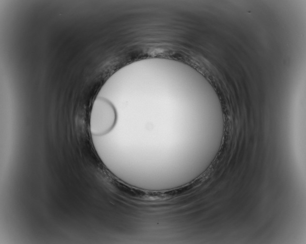 X0000085310510200703091057