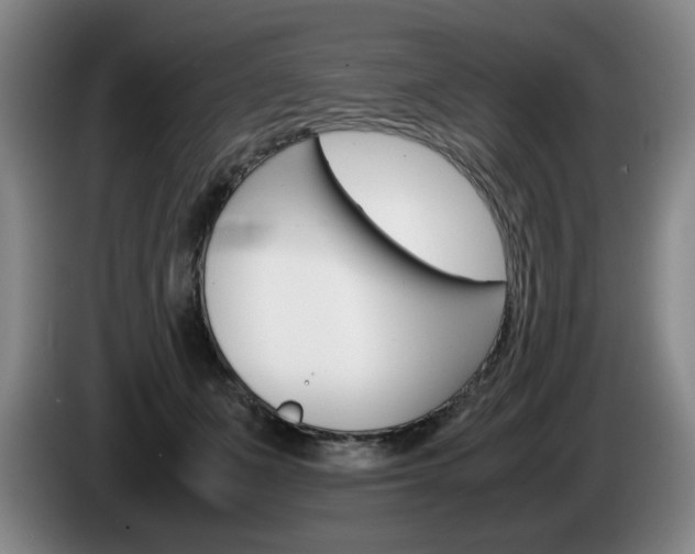 X0000085310511200703091057