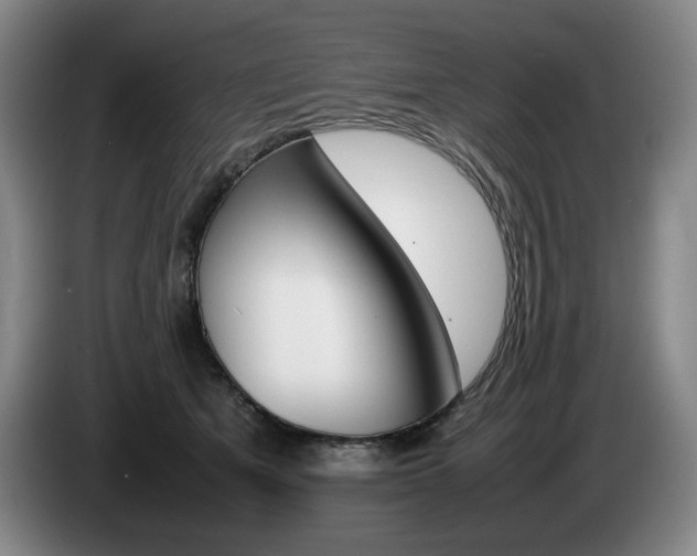 X0000085310513200703091057