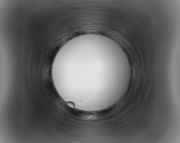 X0000085310514200703091057