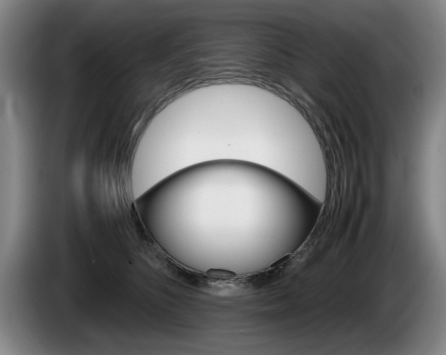 X0000085310516200703091057