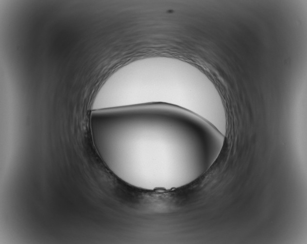 X0000085310517200703091057